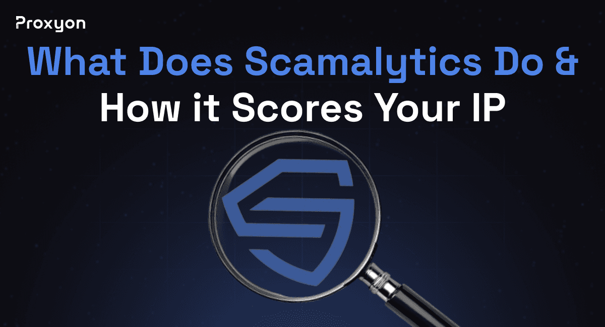 What Does Scamalytics Do?